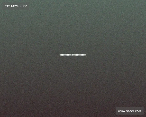 纽卡愿满足佳夫标价 米兰将科穆佐视为替代目标